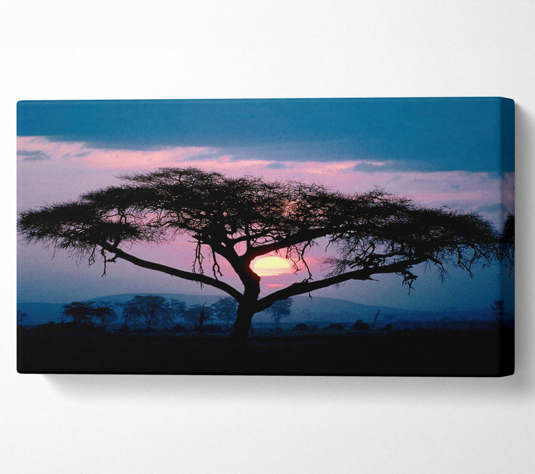  A Canvas Print of East African Sunset Canvas Art