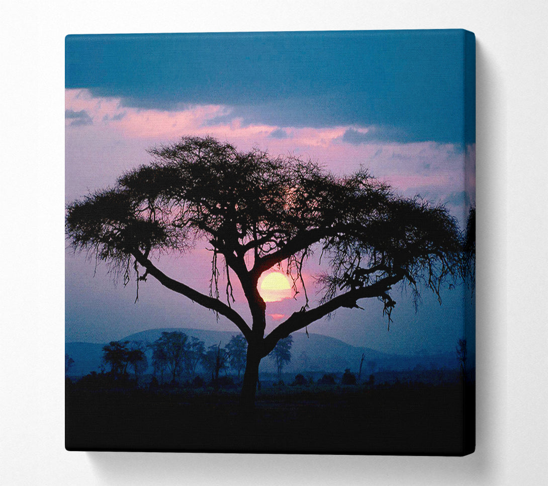  A Canvas Print of East African Sunset Canvas Art