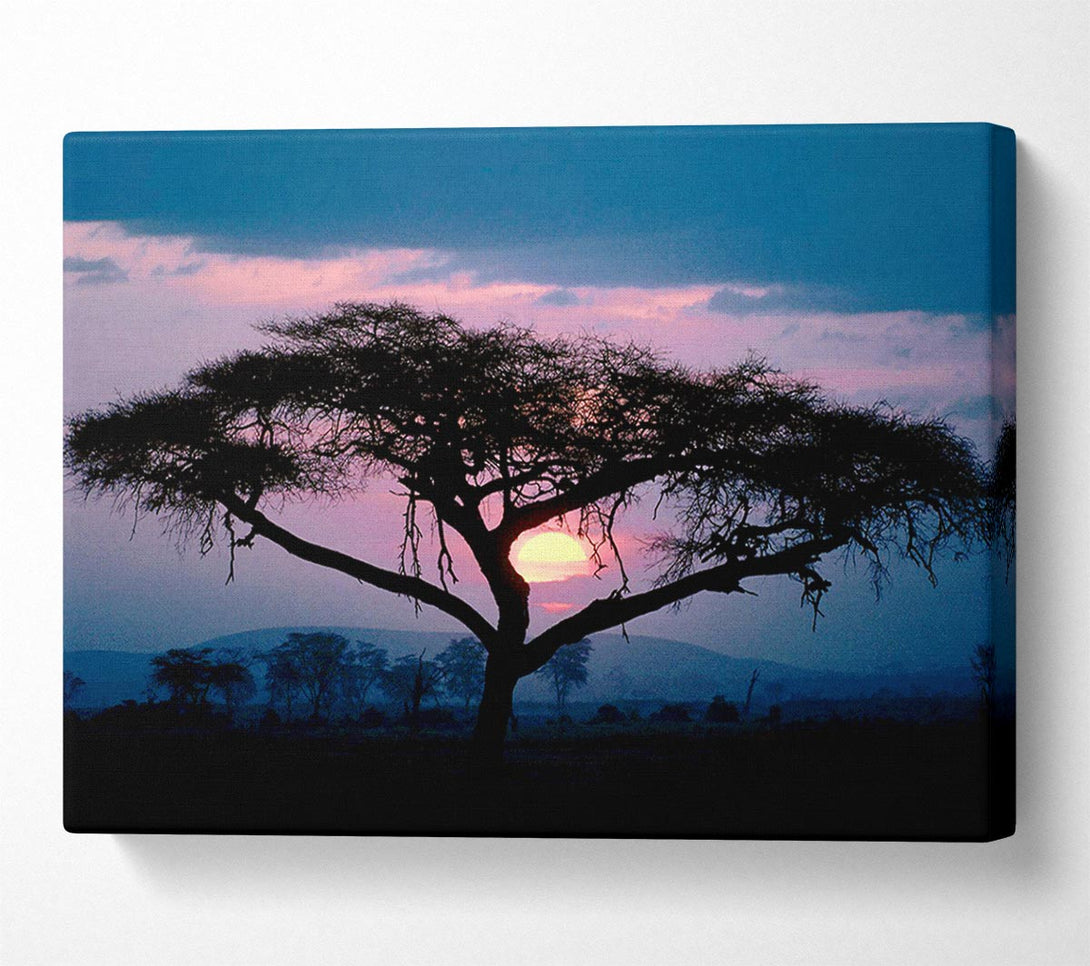  A Canvas Print of East African Sunset Canvas Art