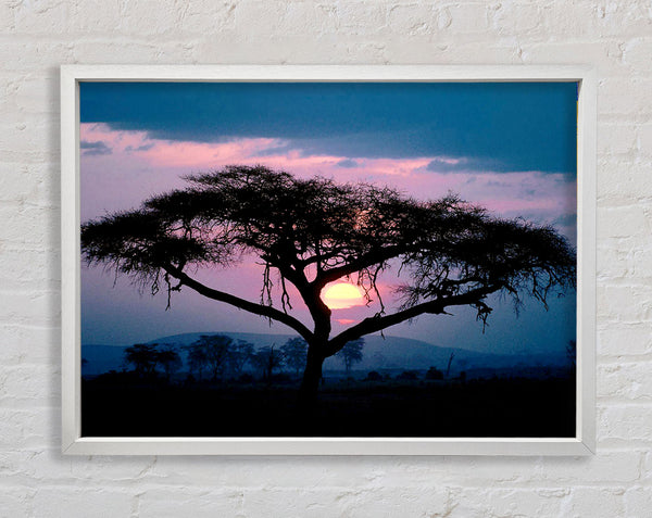 East African Sunset Framed Print