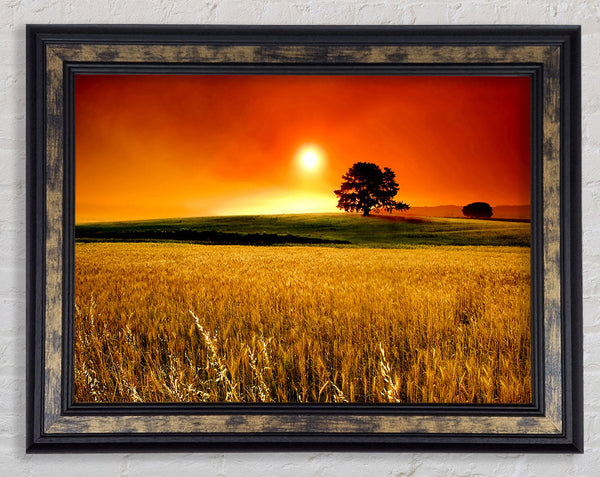 Stunning Countryside Sunset Framed Print