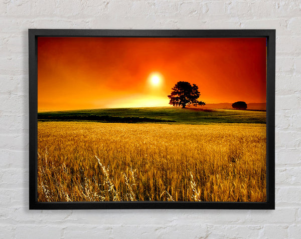 Atemberaubender Sonnenuntergang auf dem Land