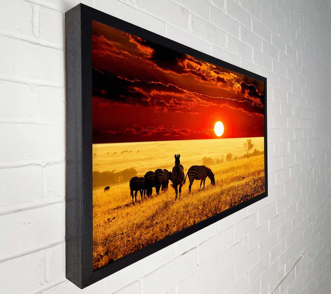  A Canvas Print of Zebras In The African Sun Canvas Print