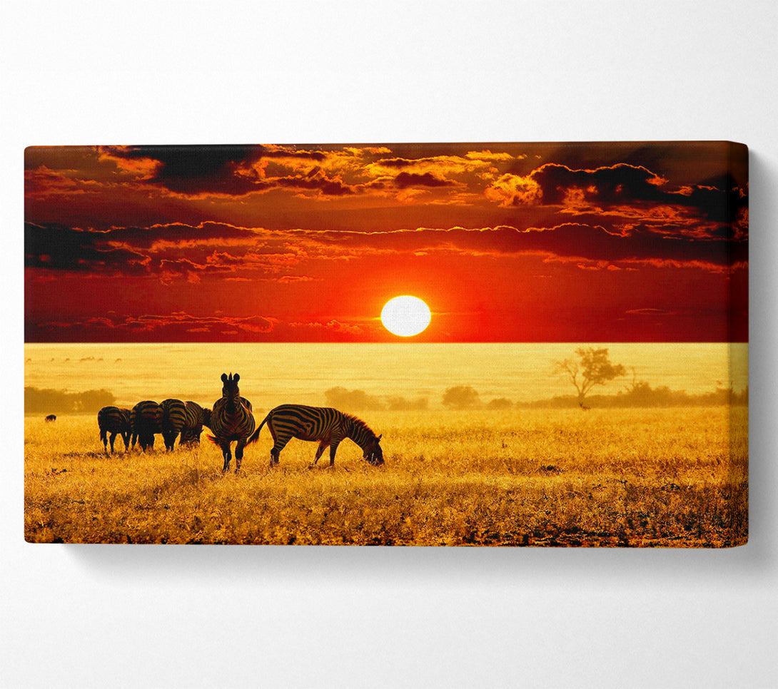  A Canvas Print of Zebras In The African Sun Canvas Print