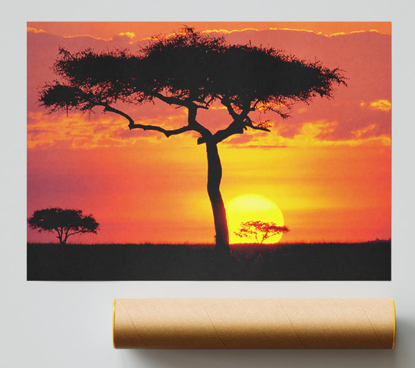 Sunset In Kenya Giclee Print