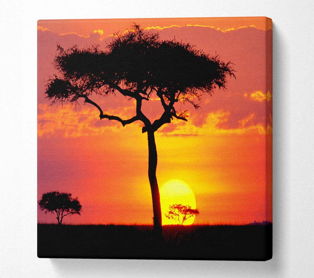  A Canvas Print of Sunset In Kenya Canvas Art