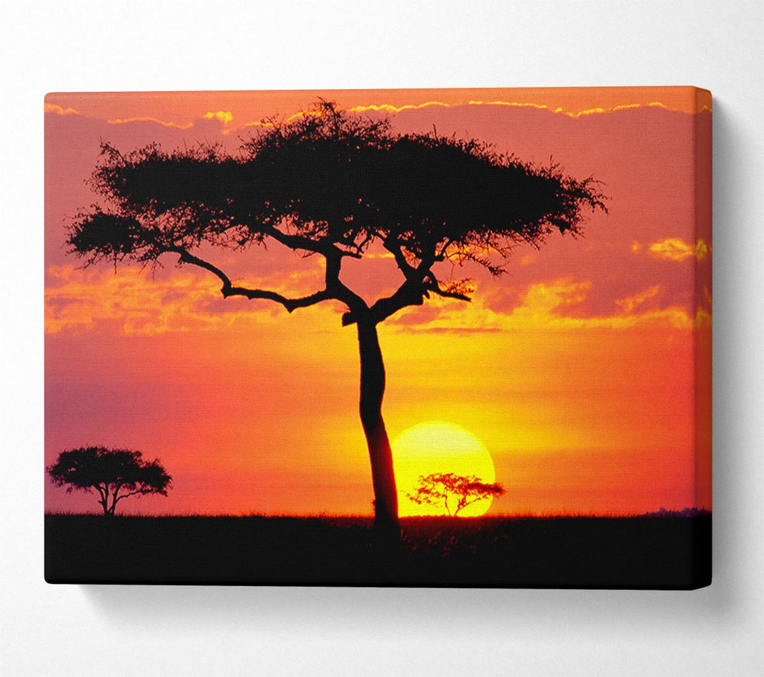  A Canvas Print of Sunset In Kenya Canvas Art