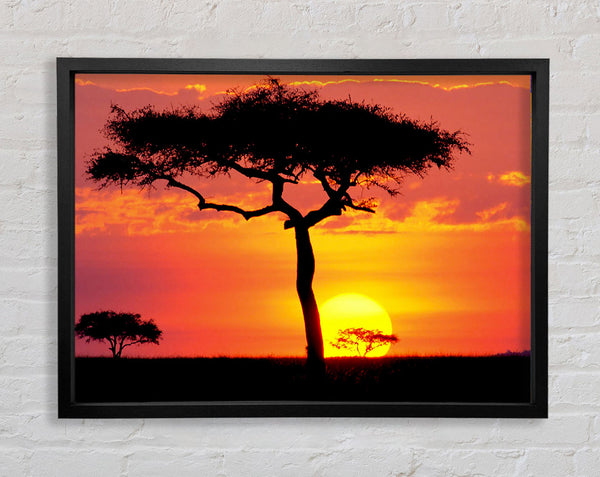 Sunset In Kenya Framed Print