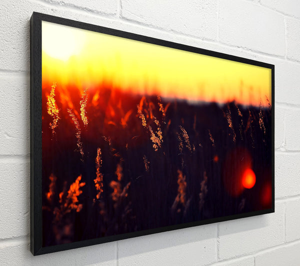Hot Sunset