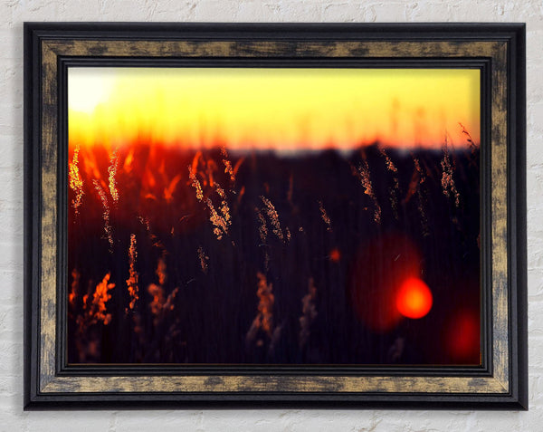 Hot Sunset Framed Print