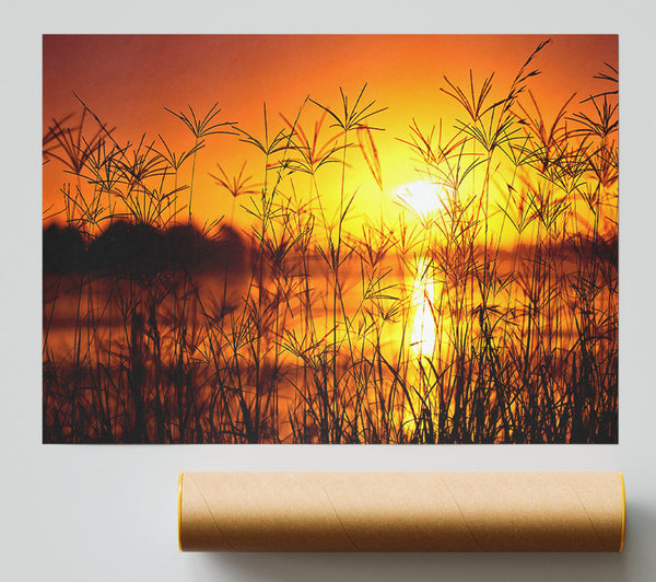 Sunset Light Summer Giclee Print