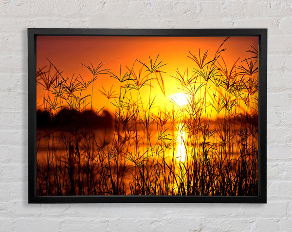 Sunset Light Summer Framed Print