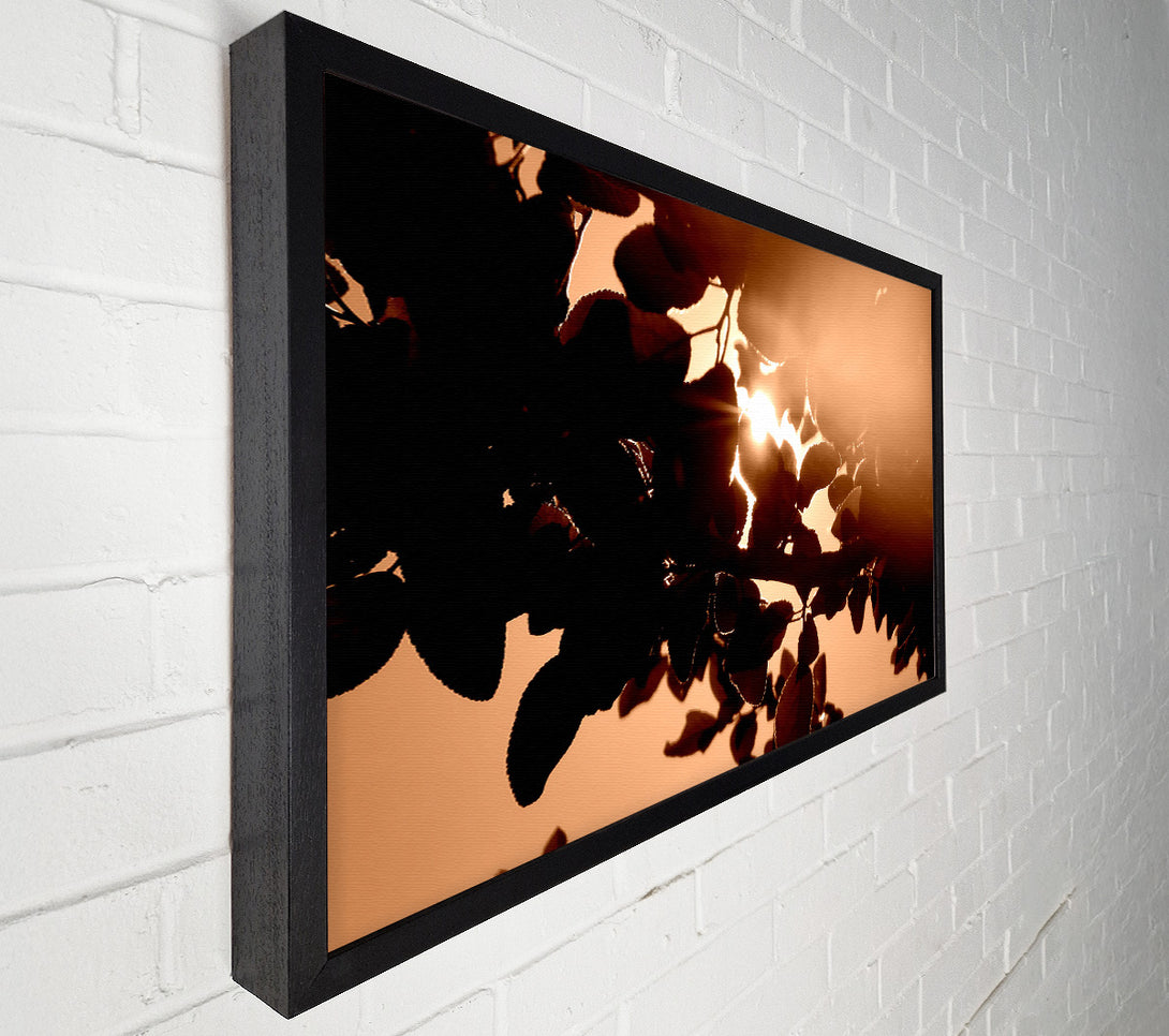  A Canvas Print of Sunlight Through Leaves Canvas Wall Art