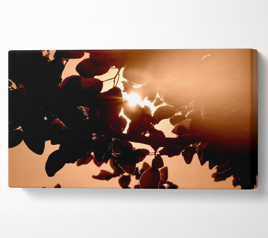  A Canvas Print of Sunlight Through Leaves Canvas Wall Art