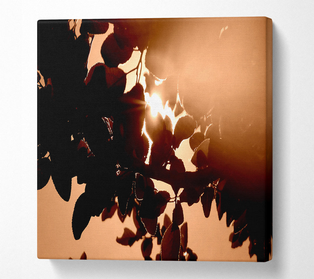  A Canvas Print of Sunlight Through Leaves Canvas Wall Art