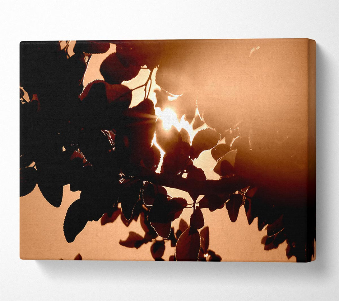  A Canvas Print of Sunlight Through Leaves Canvas Wall Art