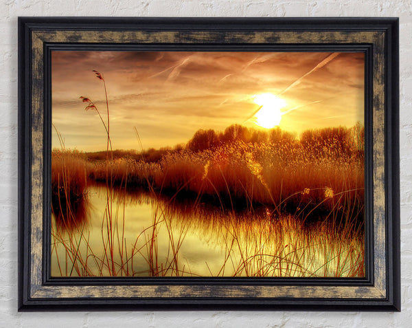 Sunset At Bieslandse Forest Framed Print
