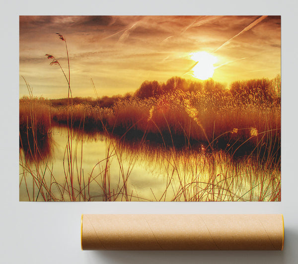Sunset At Bieslandse Forest Giclee Print