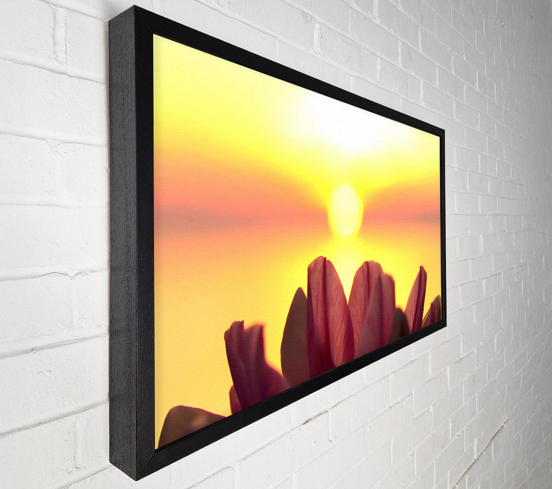  A Canvas Print of Life Source Canvas Print