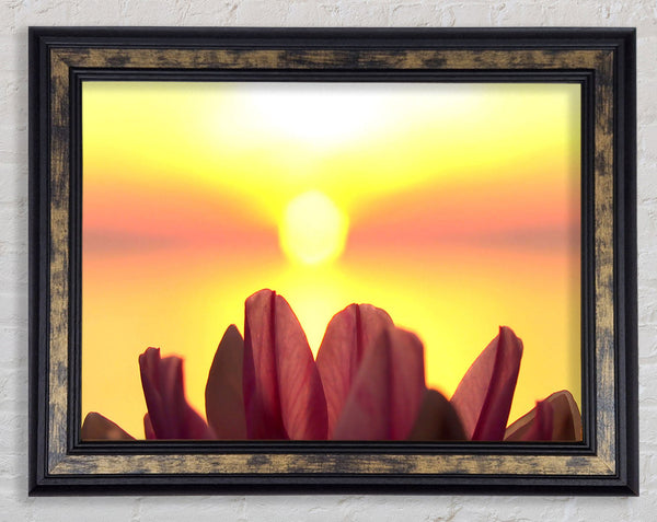 Life Source Framed Print