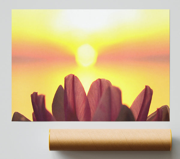 Life Source Poster