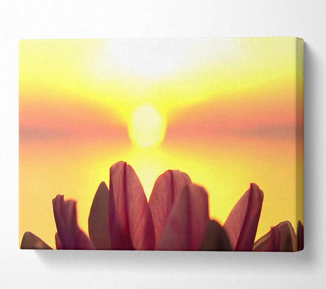  A Canvas Print of Life Source Canvas Print