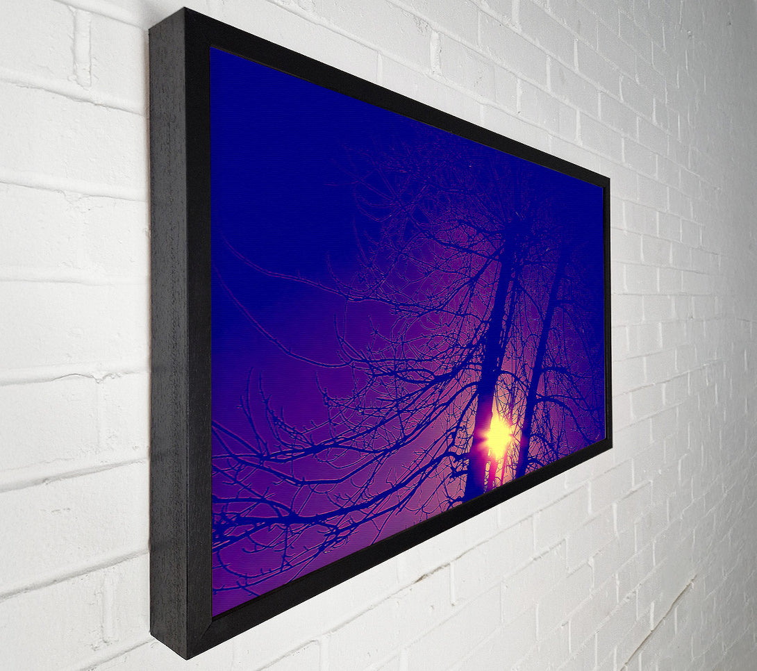  A Canvas Print of Sun At Dusk Between The Trees Canvas Print