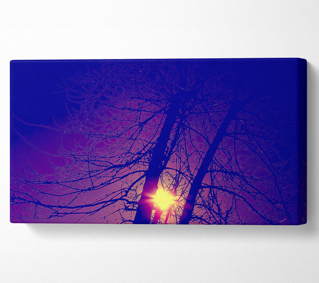  A Canvas Print of Sun At Dusk Between The Trees Canvas Print