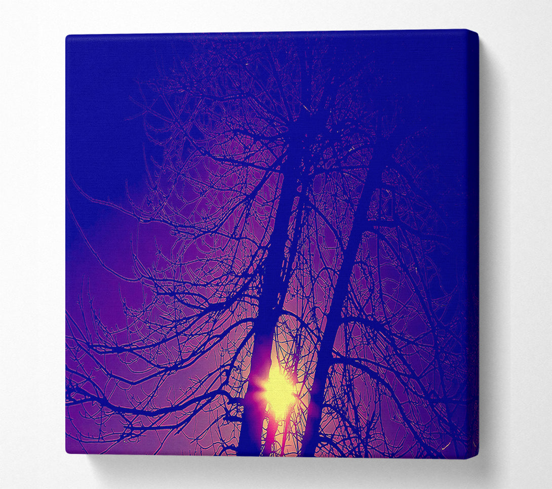  A Canvas Print of Sun At Dusk Between The Trees Canvas Print