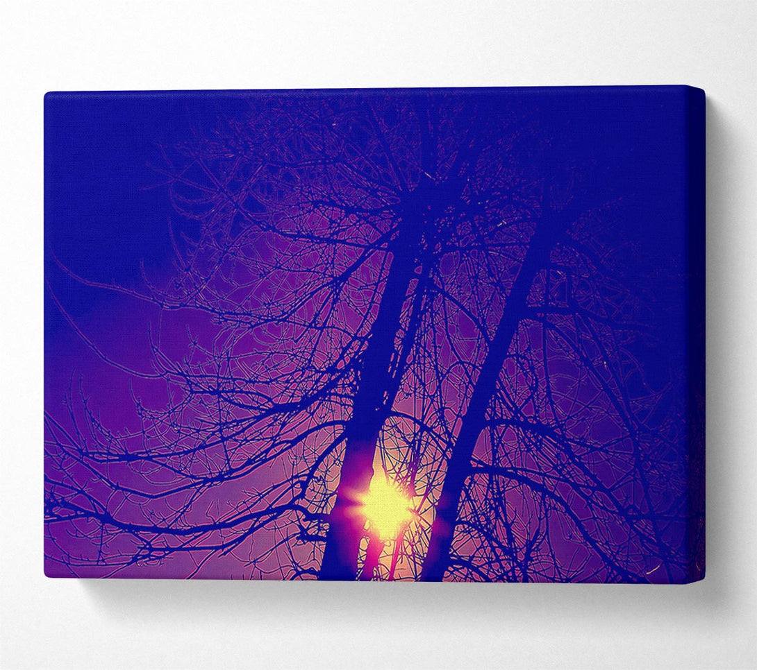  A Canvas Print of Sun At Dusk Between The Trees Canvas Print