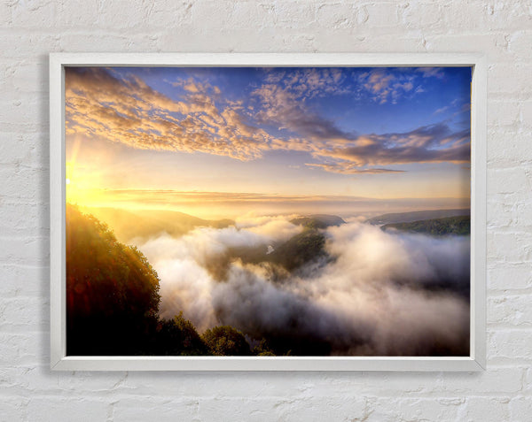 Morgennebel über dem Wald