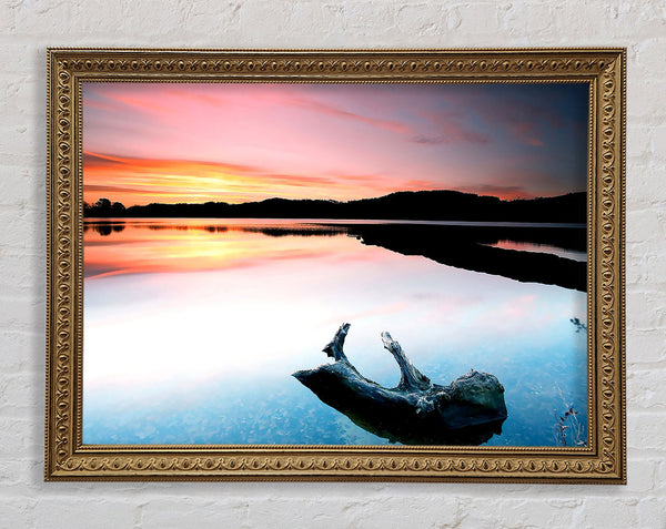 Driftwood In The Tranquil Ocean Framed Print