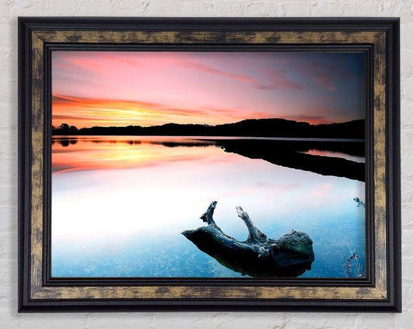 Driftwood In The Tranquil Ocean Framed Print