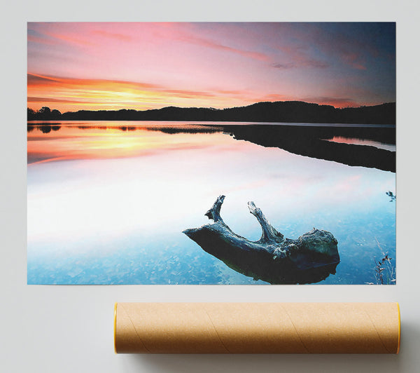 Driftwood In The Tranquil Ocean Giclee Print