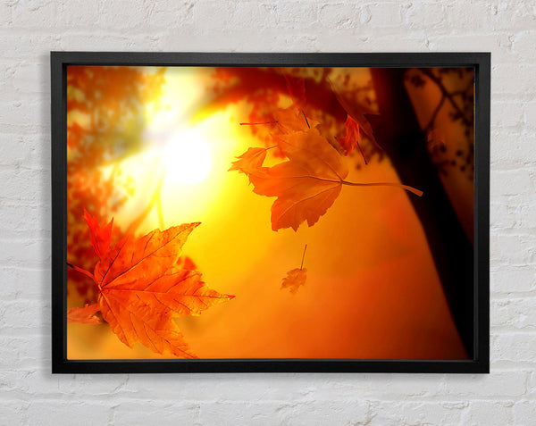 Oranger Herbst