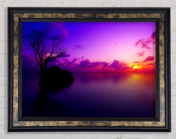 Sun Set Maldives Framed Print