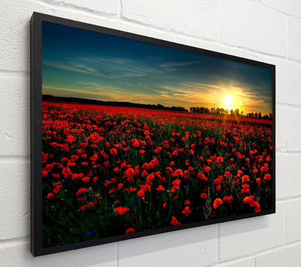 Red Flower Garden