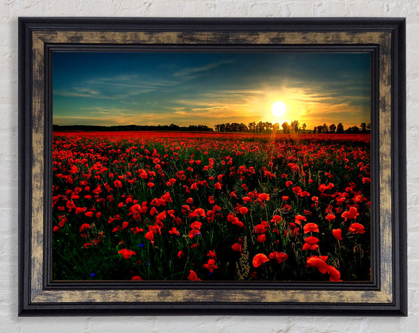 Red Flower Garden Framed Print