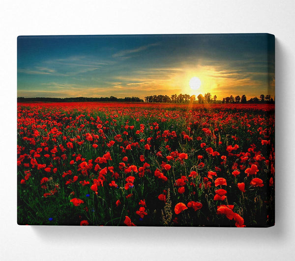 Red Flower Garden Canvas Wall Art