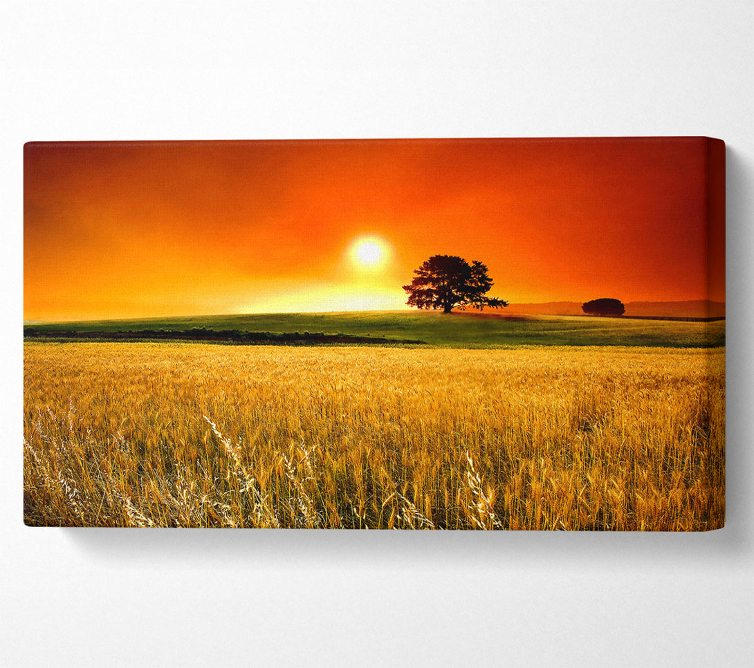  A Canvas Print of Sunny Day Canvas Print