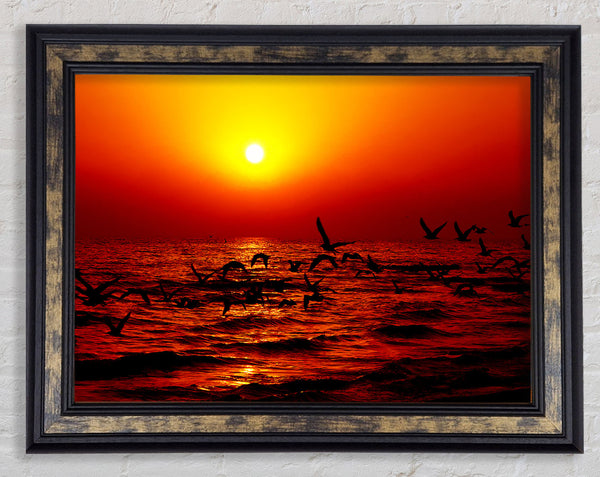 Red Ocean Flight Framed Print