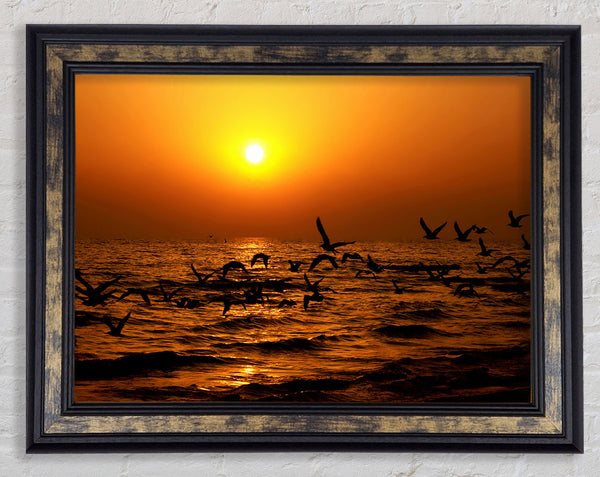 Ocean Flight Framed Print
