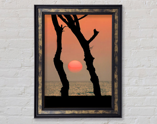Red Sun Through The Ocean Trees Framed Print