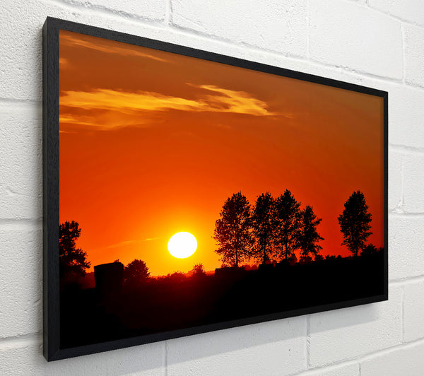 Orange Tree Horizon