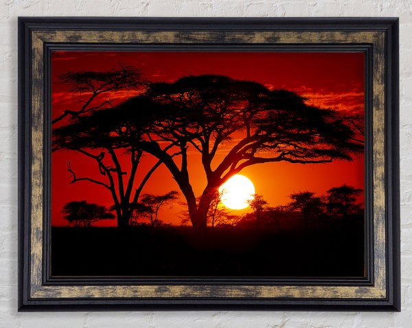 As The Night Falls Framed Print