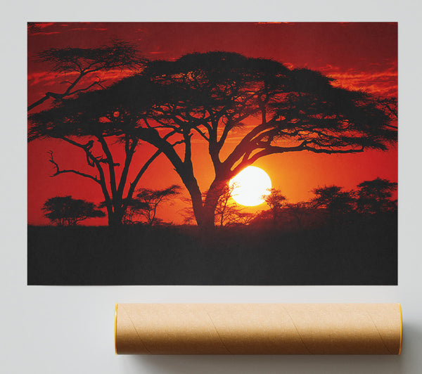 As The Night Falls Print