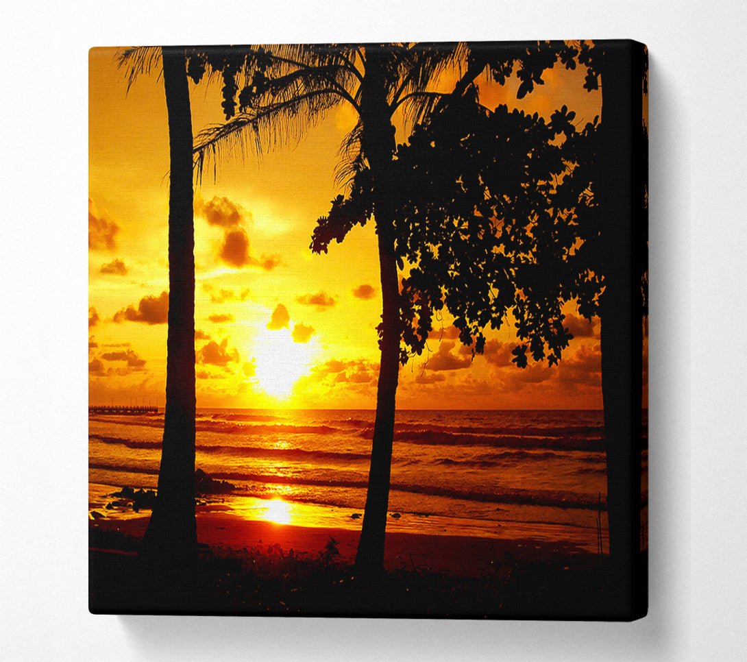  A Canvas Print of Sun Reflections Over The Beach Canvas Print