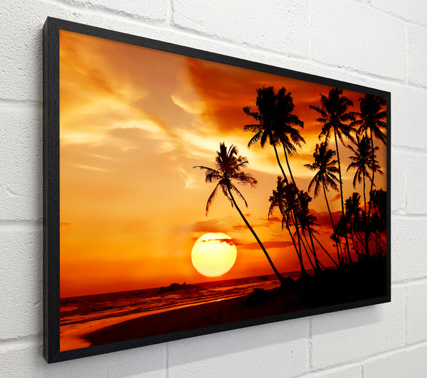 Palmtree Sunset Over The Ocean