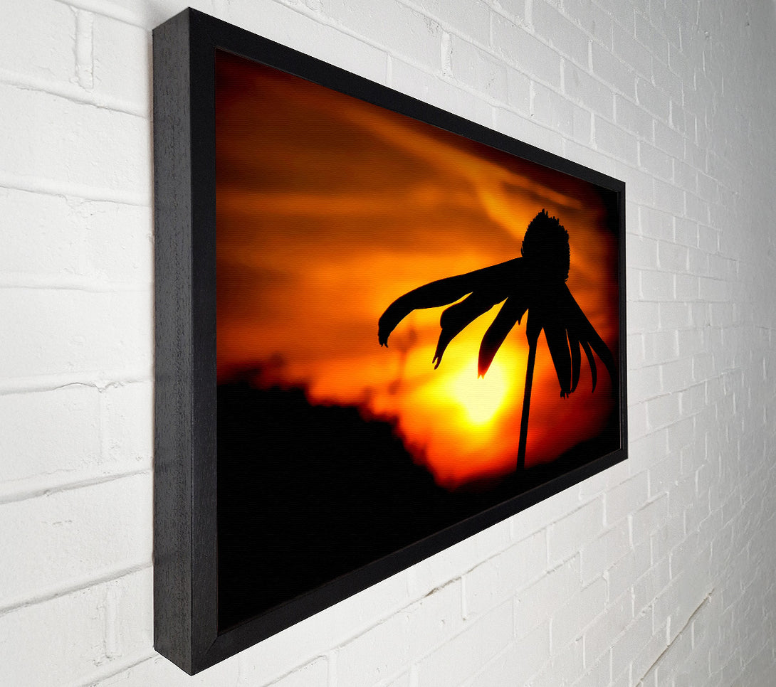  A Canvas Print of Sun Behind The Flower Canvas Wall Art