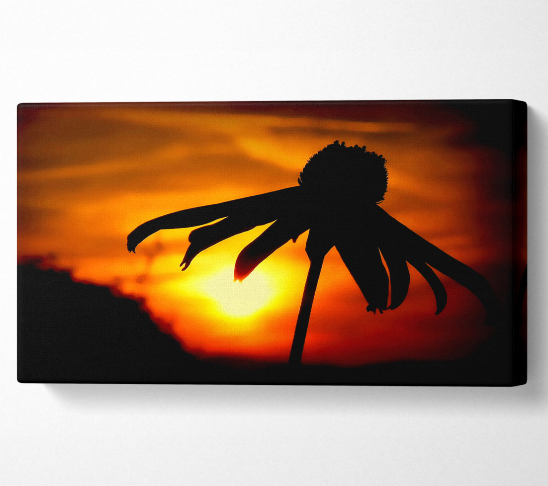  A Canvas Print of Sun Behind The Flower Canvas Wall Art